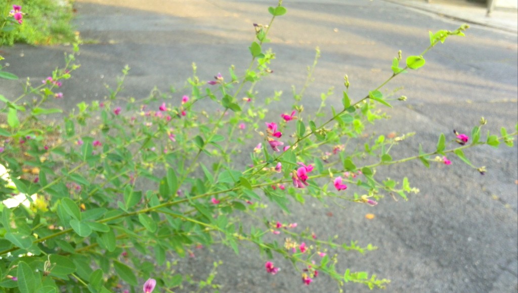 KIMG0768