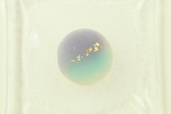 BH4A9094 (2)