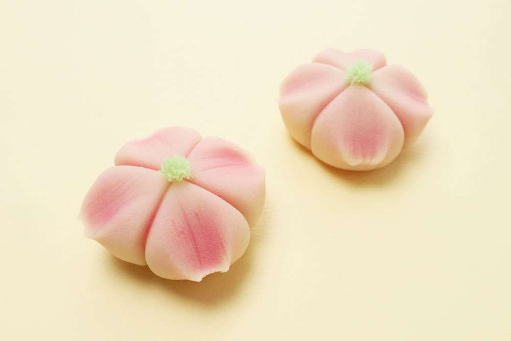 かめや和菓子部 / 立夏 | 創業1803年の京菓子司 亀屋良長