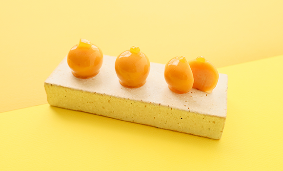 新発売】烏羽玉〈あんずレモン〉
